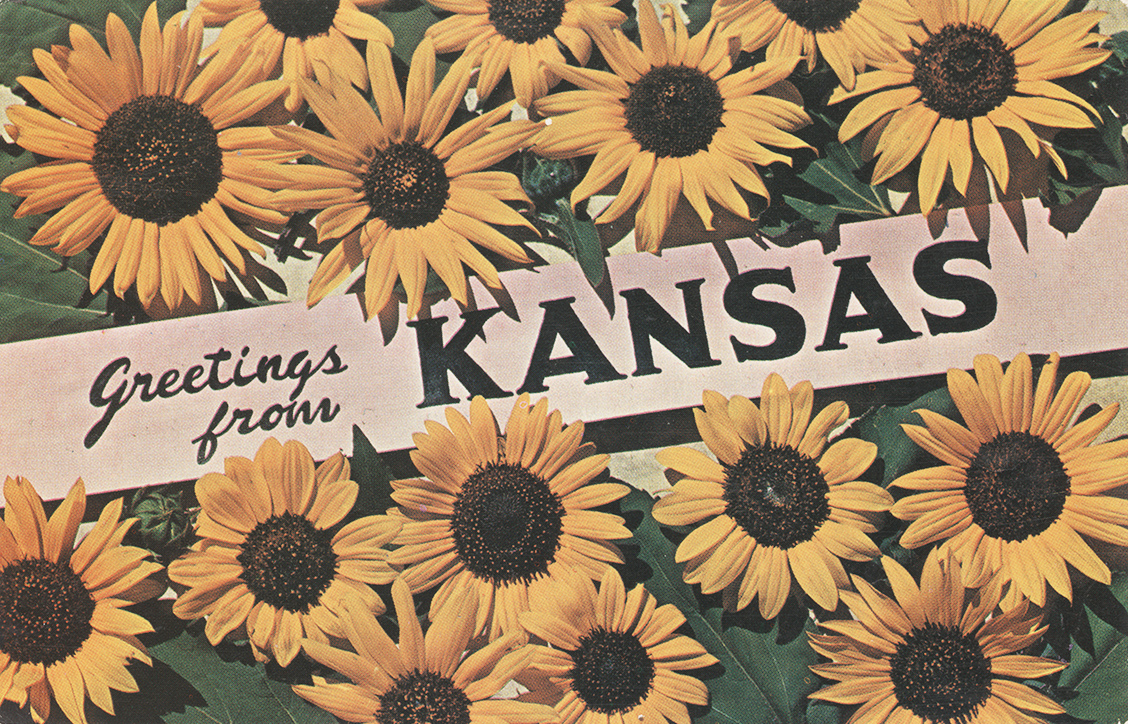 Vintage postcard of sunflowers reads "Greetings from Kansas"